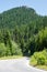 Winding road in the Rhodopes, Bulgaria