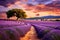 A winding road through a serene lavender field