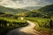 A winding road through a serene vineyard,