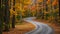 A winding road snakes its way through the middle of a dense forest surrounded by tall trees, A winding country road surrounded by