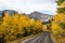 Winding road to Wheeler Peak through autumn colors of yellow asp