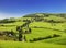 Winding road in the vicinity of Monticello. Tuscany