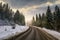 Winding road through winter spruce forest