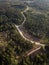 Winding roads and crossroads in the forest. Captured from above