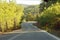 Winding roads in Rhodes island in Greece