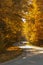 Winding rual road with car inside colorful autumn forest