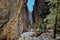 Winding and rugged dirt pathway framed by two towering canyon walls: Samaria canyon, Crete