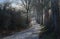 Winding rural road with cobblestone pavement and old trees at th