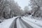 Winding slippery and snowy road  surrounded by trees covered in snow in winter