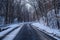 Winding snow covered road in rural Minnesota during winter, lined with trees