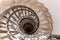 Winding staircase in St. Stephen`s Basilica - Budapest, Hungary