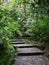 Winding Stone Steps in Rainforest