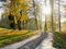 Winding walking path to the nature park in the fall