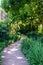 Winding walking pathway through tropical green shrub filled garden, overhanging trees