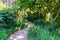 Winding walking pathway through tropical green shrub filled garden, overhanging trees