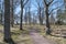 Winding walkway at springtime