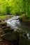 Winding water flow along the rocky shore with tall beech trees