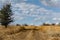 A winding wide road with turns of dust, earth and sand, among dry vegetation and grass. On the background of a beautiful cloudy sk