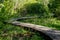 A winding wooden bridge in the forest. A forest path leading across a bridge in a dendrological park.