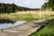 A winding wooden bridge in the forest. A forest path leading across a bridge in a dendrological park.