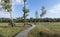 A winding wooden hiking trail