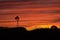 Windmill in an Arizona sunset