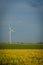 Windmill with beautiful grain fields in front