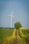 Windmill with beautiful green tree in front