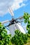 Windmill behind grape vine