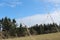 Windmill behind treeline