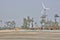 Windmill and birds at bakkhali west bengal india