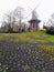 Windmill in Bremen with pansies