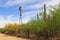 Windmill and Butterfly Garden on La Posta Quemada Ranch in Colossal Cave Mountain Park