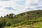 Windmill called Klapotetz in vineyard along the south Styrian vi