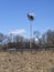 Windmill in Chicago suburbs