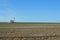 Windmill, Cistern and Tree in spring field