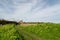 Windmill at Cley-next-the-Sea, Norfolk