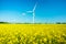 Windmill on the colza field