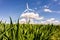 Windmill in cornfield background image