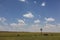 Windmill and cows