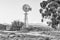 Windmill, dam and a kraal. Monochrome