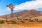 Windmill at a Desert Landscape in Fuerteventura