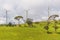 Windmill farm in Ambewela - Sri Lanka