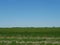 Windmill farm on the horizon in rural northern Oklahoma