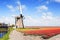 Windmill and flower fields