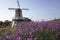 Windmill and flower garden