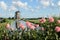 Windmill and flowers in Holland