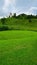 Windmill on a green hilltop