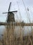 Windmill Home through the Tall Grass