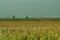 The Windmill and the landscape